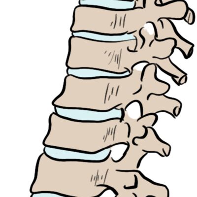    Pngtree   cervical spine 5418727 Thumbnail